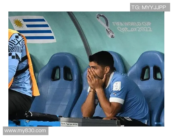 沙特主帅：咱们世界杯总抽到强敌 复刻打败阿根廷的剧本- 我看行